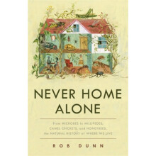 Never Home Alone by Dunn & Rob