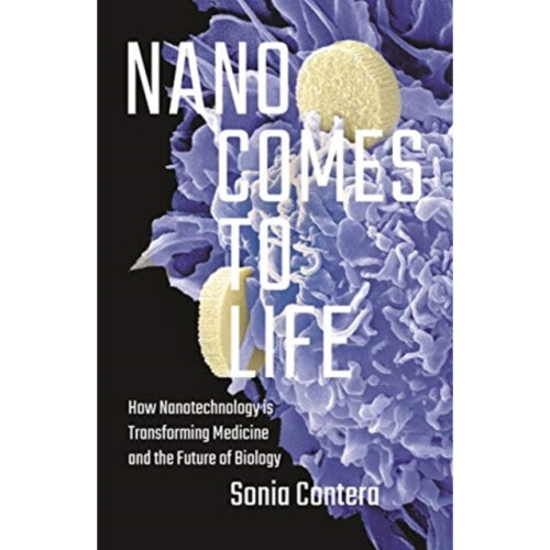 Nano Comes to Life by Contera & Sonia