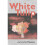 White Tulip by Thompson & Ben 1