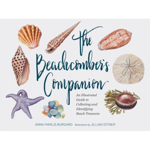 Beachcombers Companion by Dittner & Jillian - Book