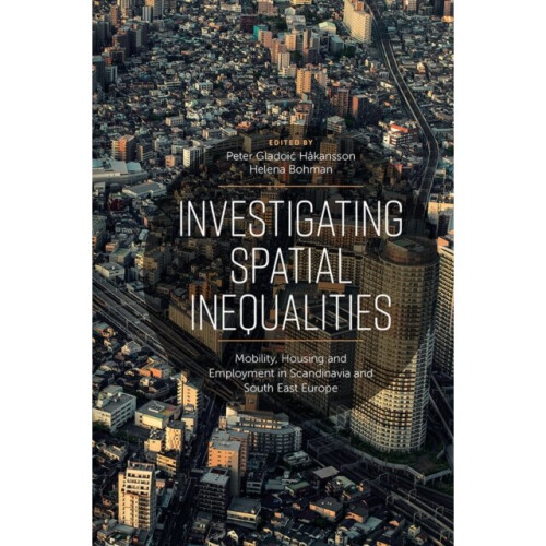 Investigating Spatial Inequalities