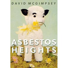 Asbestos Heights by McGimpsey & David