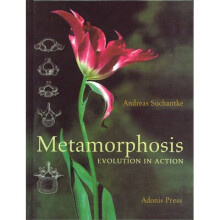Metamorphosis by Suchantke & Andreas