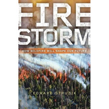 Firestorm by Struzik & Edward
