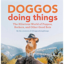 Doggos Doing Things by doggosdoingthings & Creators of