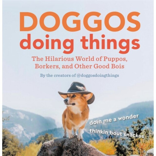 Doggos Doing Things by doggosdoingthings & Creators of