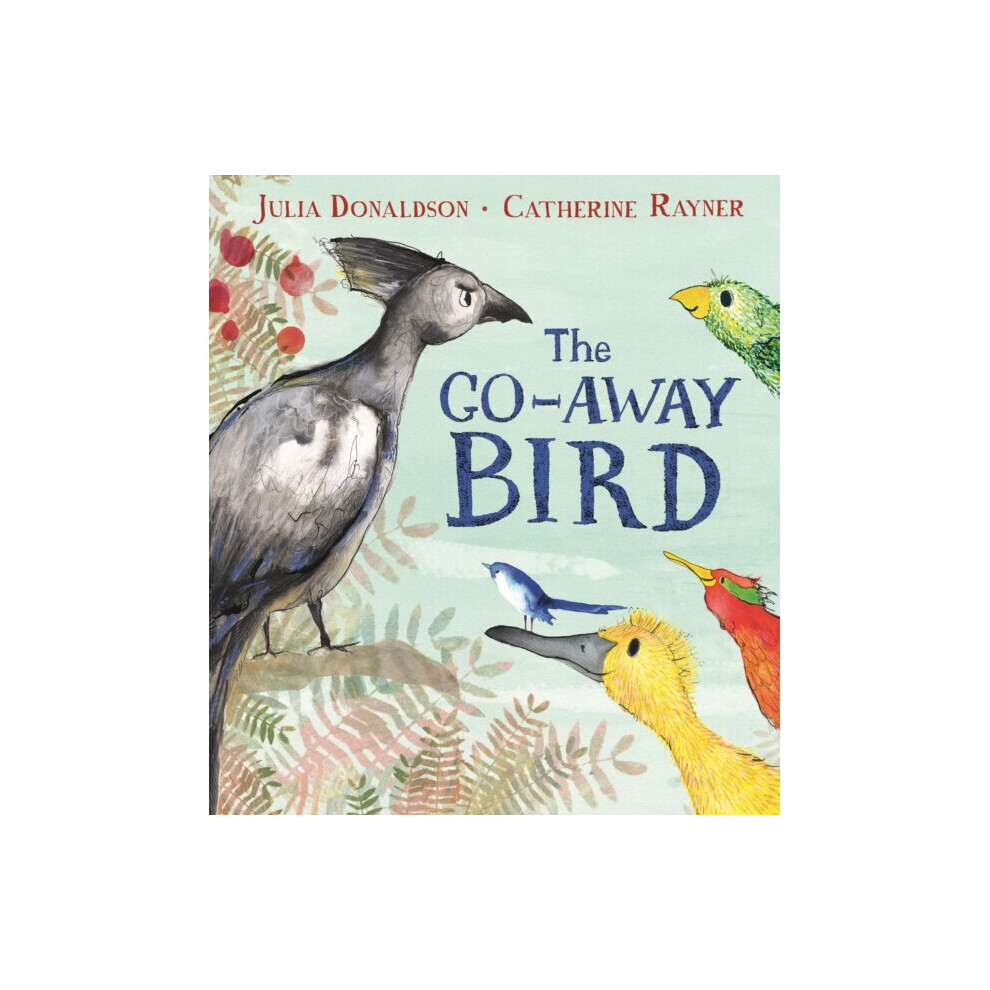 Pan Macmillan Go-Away Bird By Donaldson & Julia
