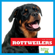 Rottweilers by Higgins & Nadia
