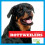 Rottweilers by Higgins & Nadia 1