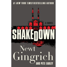 Shakedown by Gingrich & NewtEarley & Pete