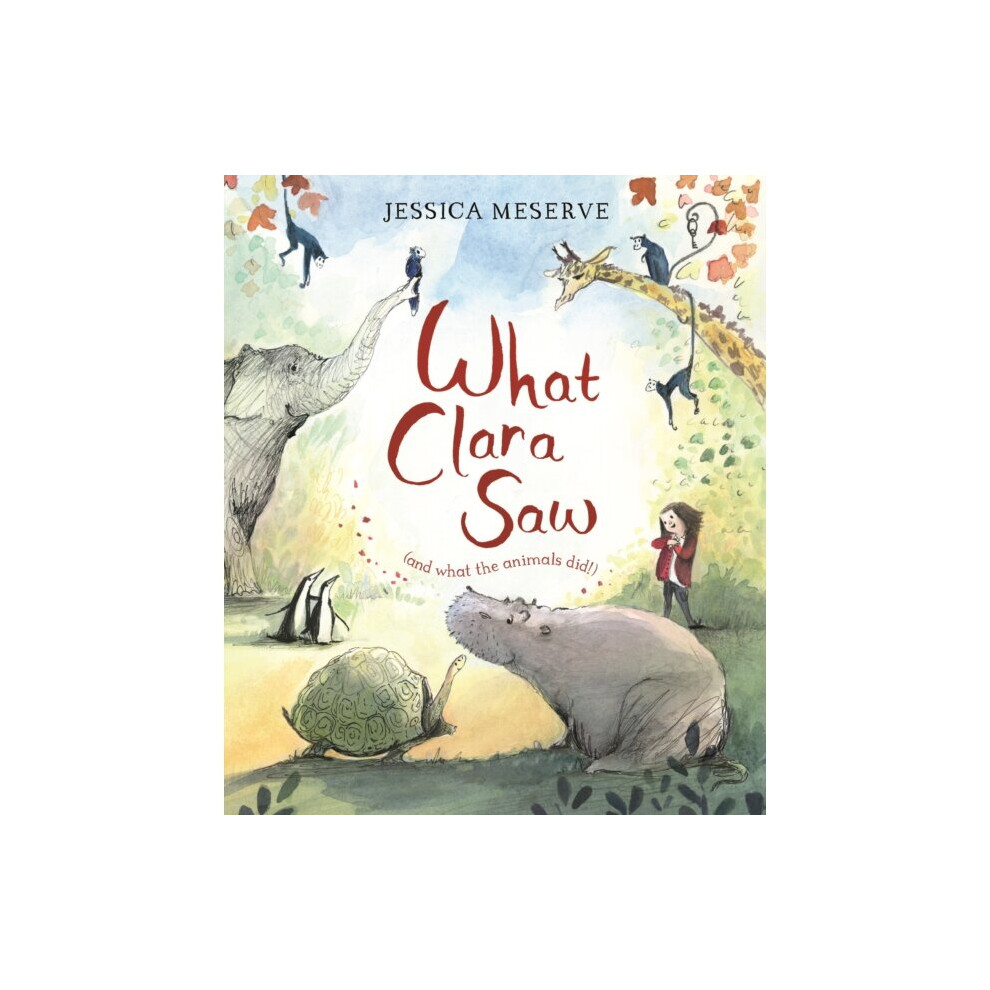 Pan Macmillan What Clara Saw By Meserve & Jessica