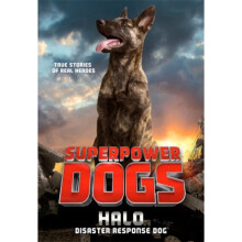 Superpower Dogs Halo by Cosmic