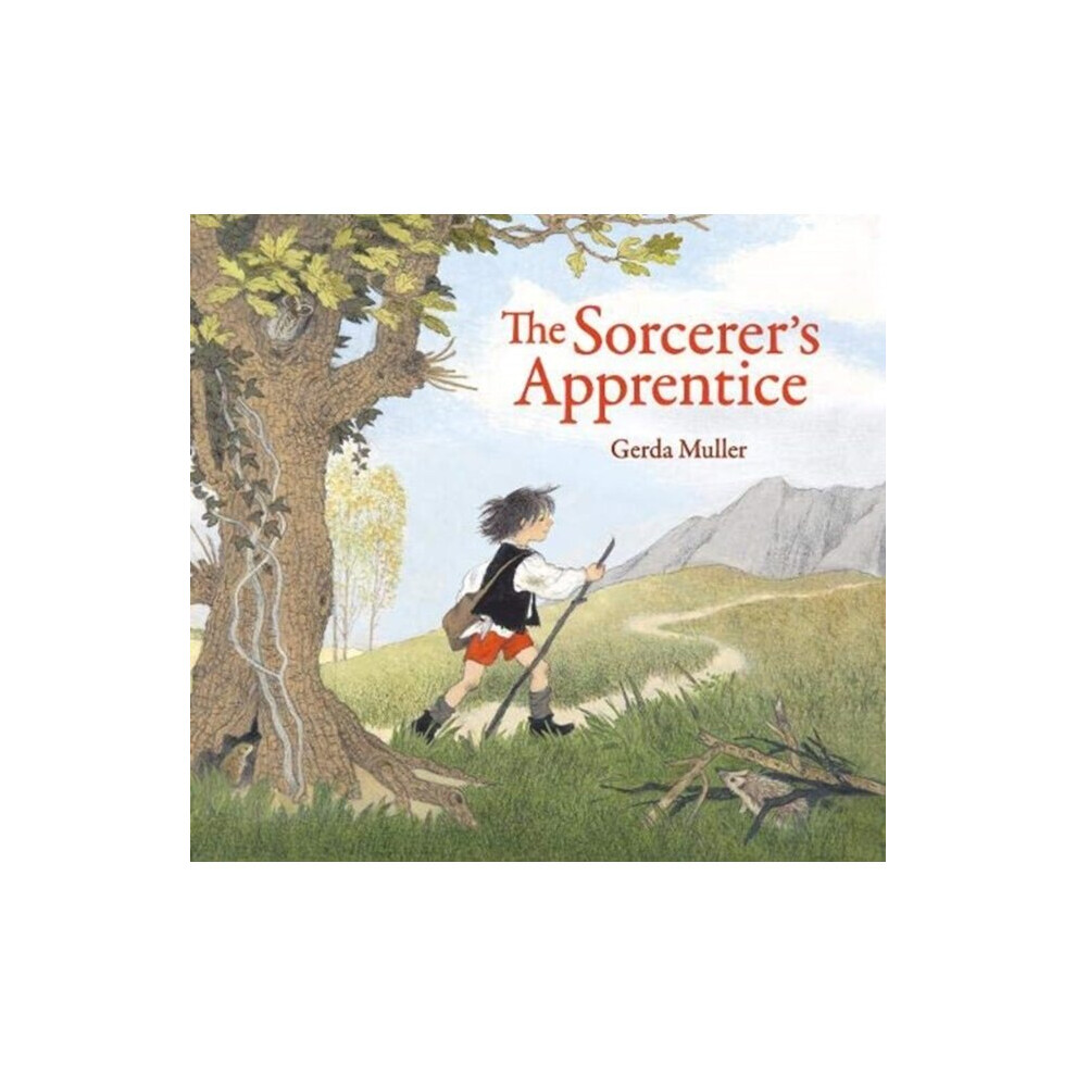 Floris Books Sorcerers Apprentice By Muller & Gerda