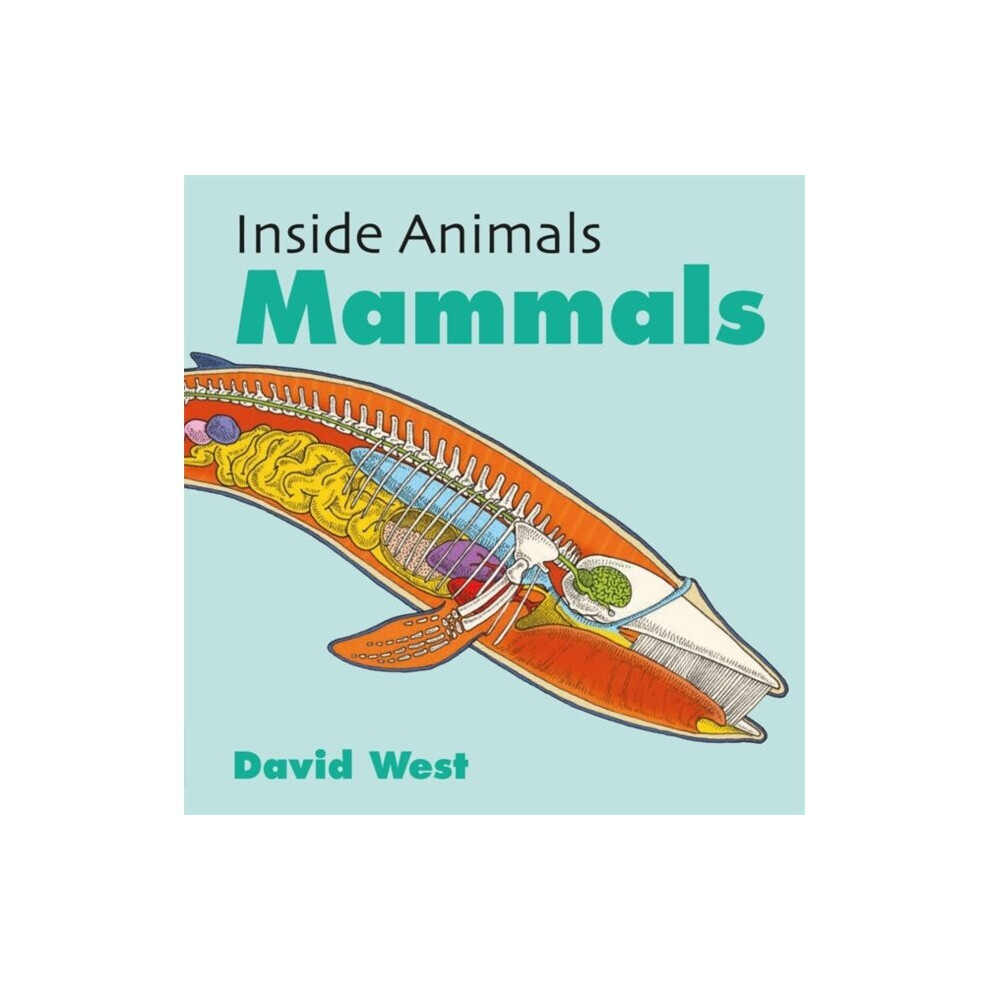 Inside Animals Mammals by West & David-image-OPC-P65YQNW-NEW