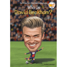 Who Is David Beckham by Labrecque & Ellen