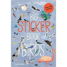 The Big Sticker Book of Birds by Zommer & Yuval