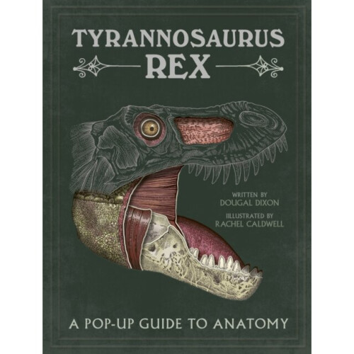 Tyrannosaurus rex by Dixon & Dougal