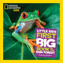 Little Kids First Big Book of the Rain Forest by National Geographic KidsDonohue & Moira Rose