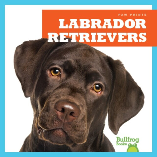 Labrador Retrievers by Gleisner & Jenna Lee