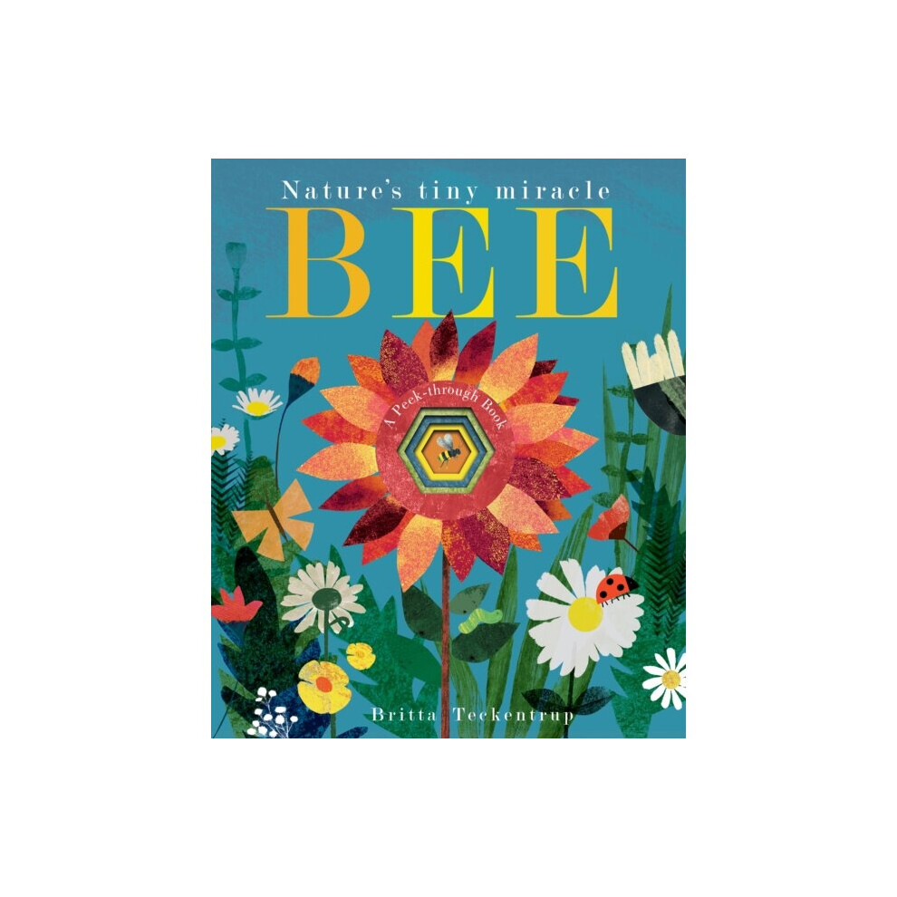 Little Tiger Press Group Bee By Hegarty & Patricia