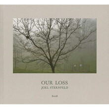 Joel Sternfeld Our Loss by Sternfeld & JoelFeroudj & HolgerDesign & Steidl