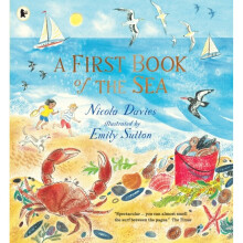 First Book of the Sea by Davies & Nicola