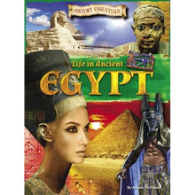 Life In Ancient Egypt by McDonald & Angela