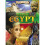 Life In Ancient Egypt by McDonald & Angela 1