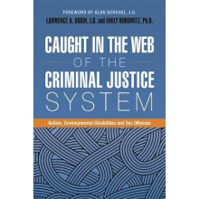Caught in the Web of the Criminal Justice System by Lawrence A. Dubin