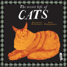 Secret Lives of Cats by Wechterowicz & Przemyslaw