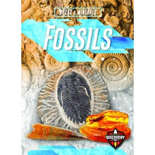 Fossils by Perish & Patrick