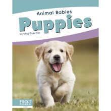 Animal Babies Puppies by Gaertner & Meg