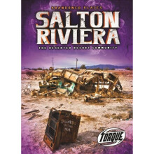Salton Riviera by Owings & Lisa