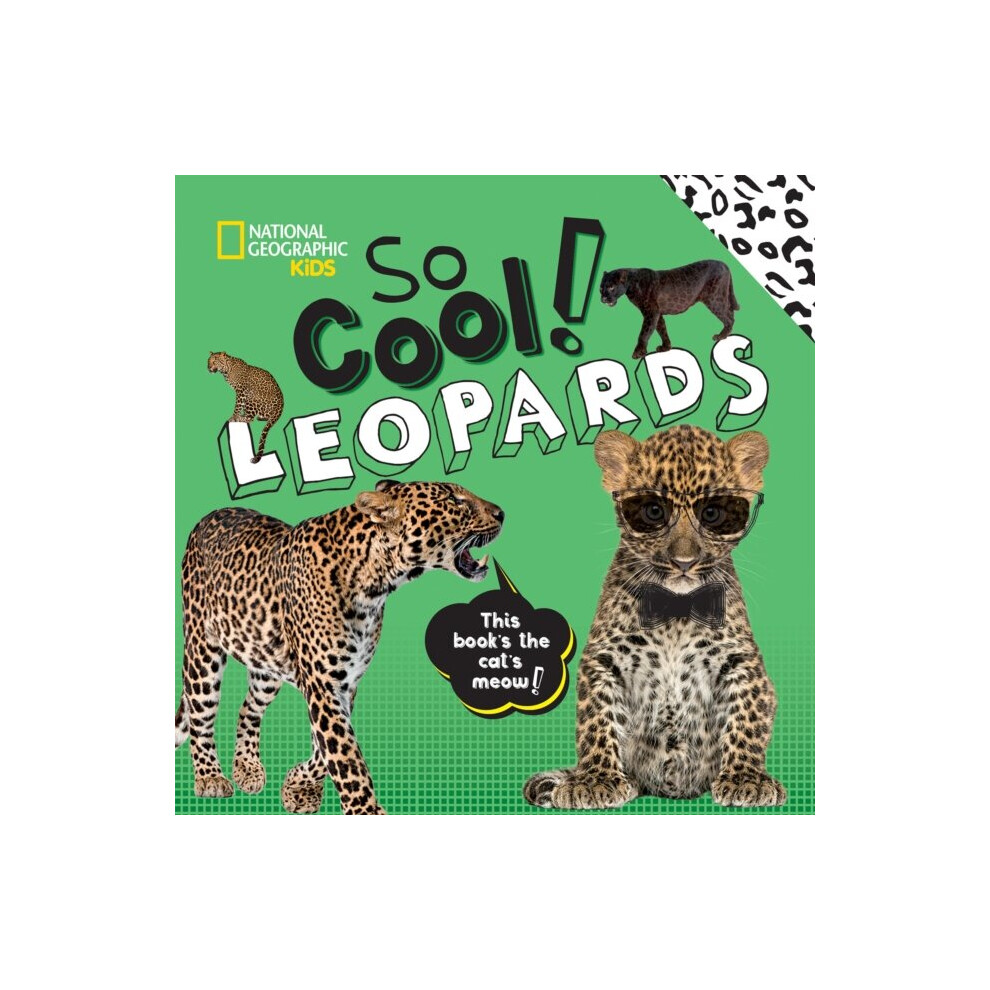National Geographic So Cool Leopards By Kidsboyer & Crispin