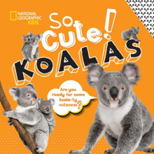 So Cute Koalas by National Geographic KidsBoyer & Crispin