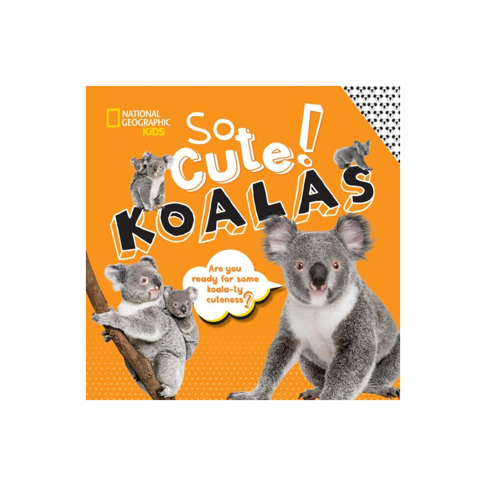 National Geographic So Cute Koalas By Kidsboyer & Crispin