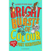 Bright Bursts of Colour by Goodfellow & Matt