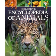 Childrens Encyclopedia of Animals by Leach & Dr MichaelLland & Dr Meriel