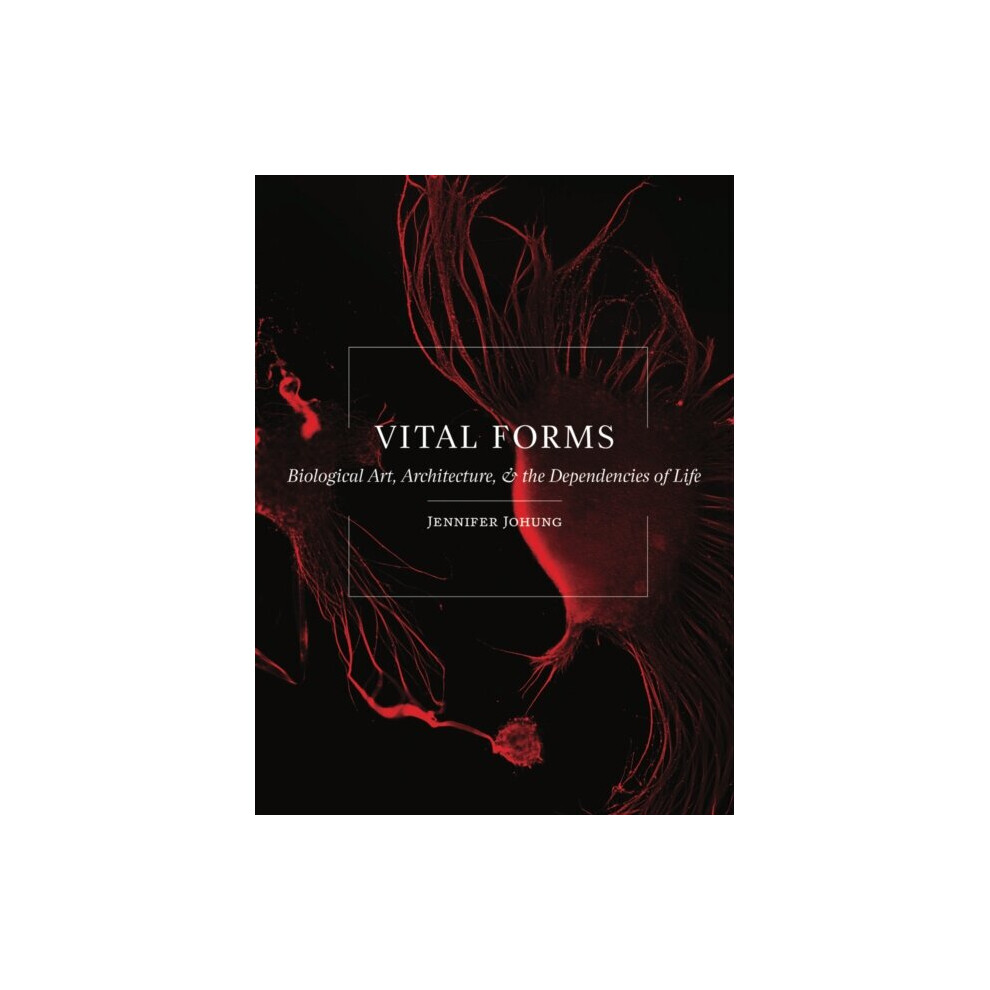 Vital Forms by Johung & Jennifer-image-OPC-P65ZCJR-NEW