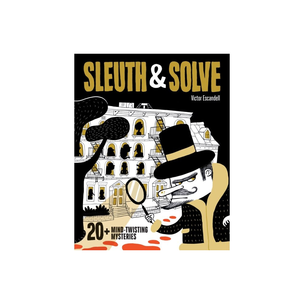 Sleuth & Solve 20 Mind-Twisting Mysteries By Gallo & Ana G