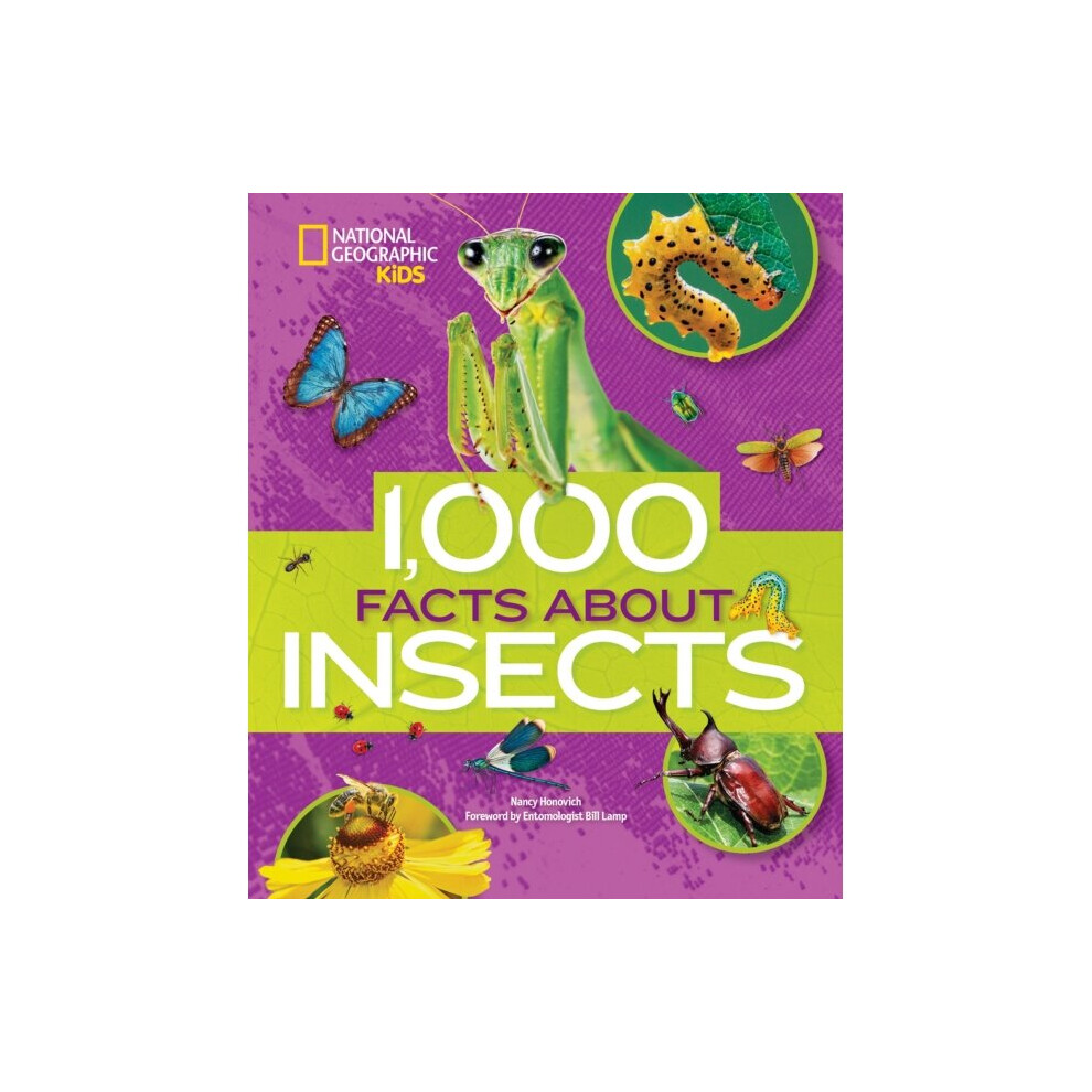 National Geographic 1000 Facts About Insects By Kidshonovich & Nancy