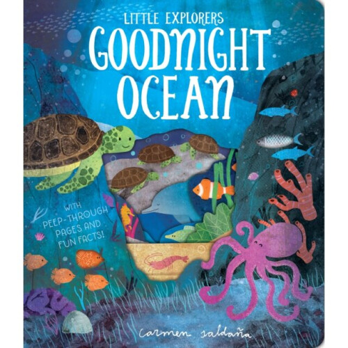 Goodnight Ocean by Davies & Becky