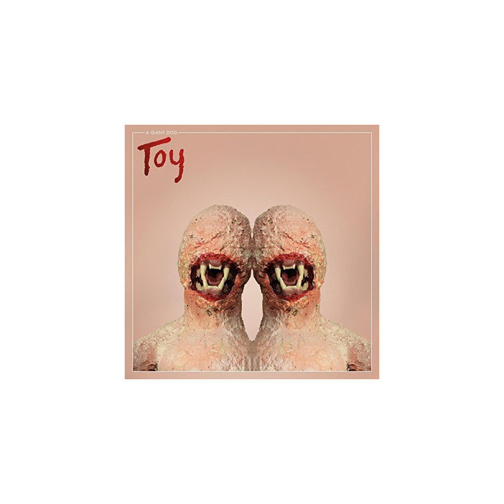 Toy