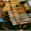 Buur Xylophones 1