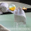 Nagaliving Bath Bombs gift Set  20 Wonderful Fizz Effect Handmade Bath Bombs for ValentineAs Day  christmas  MotherAs Day  FatherAs Day  childrenAs Da 2