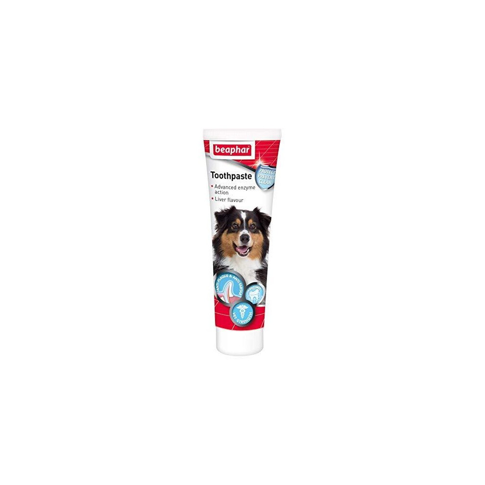 Beaphar Toothpaste for Dogs And Cats, 100g