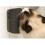 Catit Catit Senses 2.0 Self Groomer 4