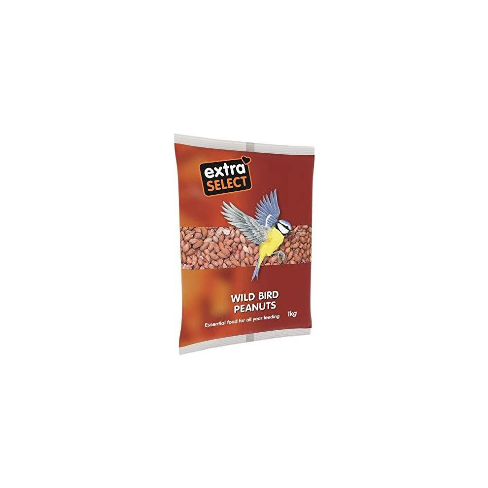 Extra Select Peanuts Wild Bird Food, 1 kg