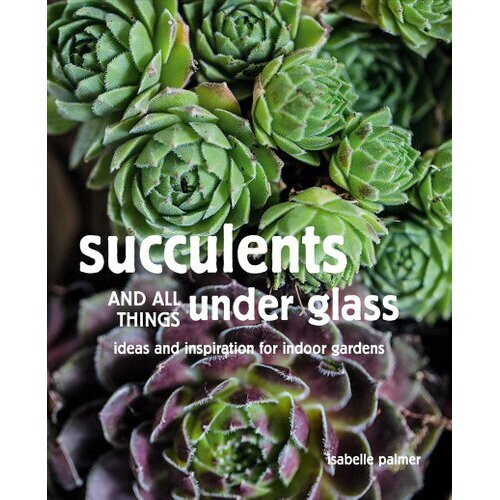 Succulents and All things Under Glass