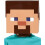 Minecraft Disguise Παιδική Μάσκα Minecraft Steve 1
